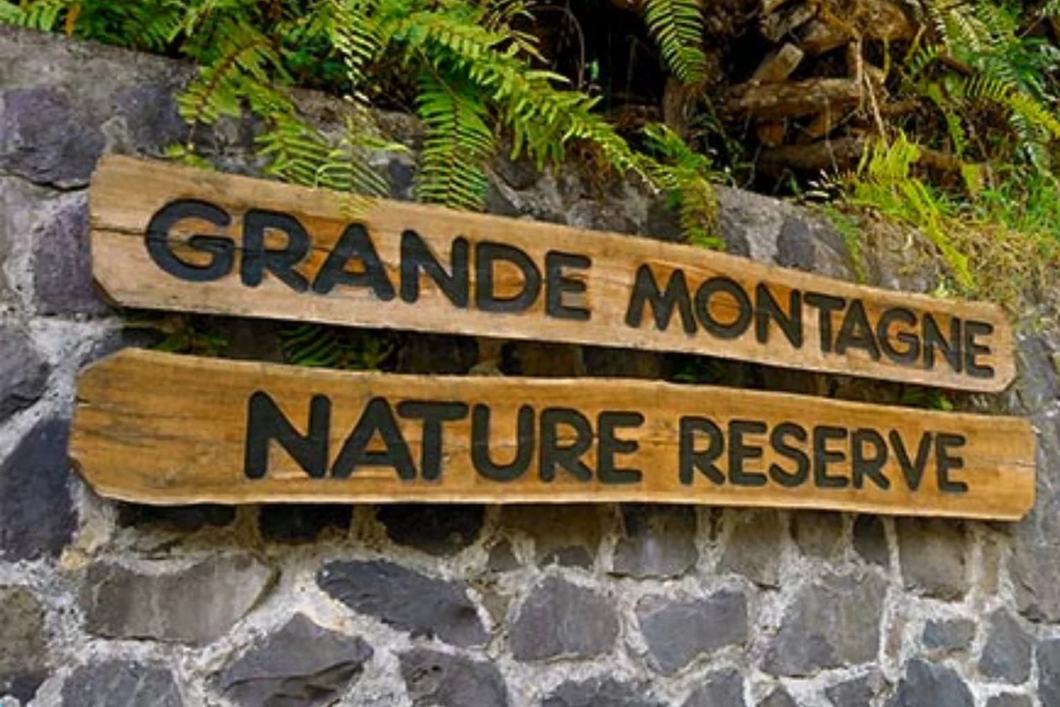 Réserve naturelle et rencontres locales